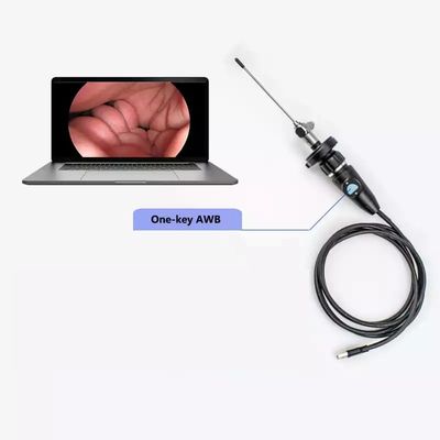 Αγορά Τούιο 1080P USB Endoscope κάμερα για ENT Λαπαροσκοπία Γυναικολογία σε απευθείας σύνδεση κατασκευή