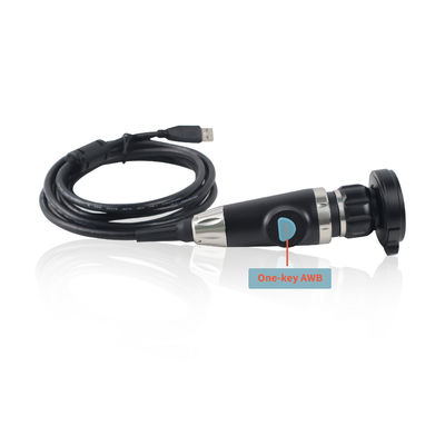 Κατασκευαστής USB φορητή ενδοσκοπική κάμερα για ενδοσκοπία ΟΡΤ Ελέγχος ζώων βίντεο ενδοσκοπία σε φορητό υπολογιστή