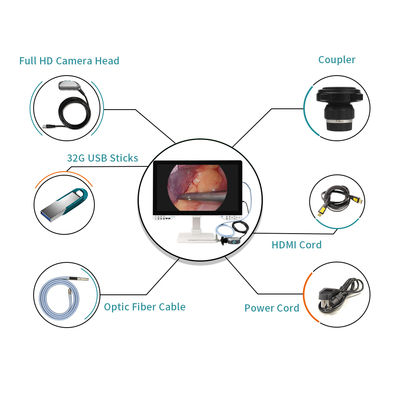 4K All In One Endoscope Camera System Ενσωματωμένο φως LED με ιατρική οθόνη 32 ιντσών