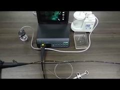 Ελαστικό γαστροσκόπιο κολονοσκόπιο ενδοσκόπιο για κατοικίδια ζώα